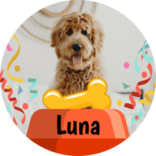 Dogs birthday celebration with bone and bowl photo upload Sponge Cake Topper