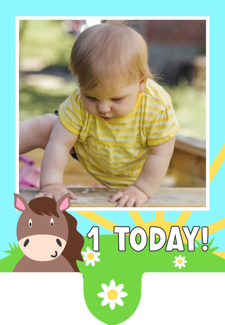 Birthday cute farmyard horse for girls photo upload Retro Cupcake Topper
